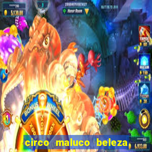 circo maluco beleza recife circo maluco